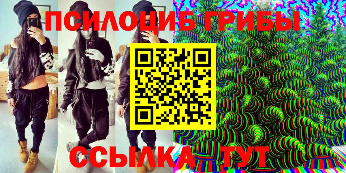 Галлюциногенные грибы прущие грибы  Вход с VPN  Строитель 